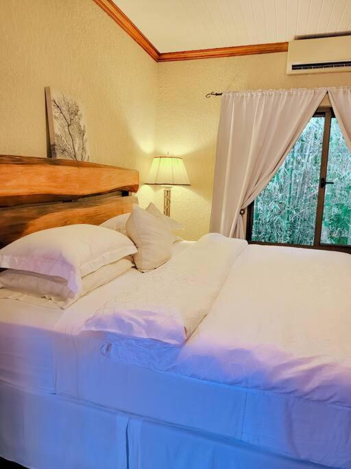 Vive Utila - Bed & Breakfast المظهر الخارجي الصورة