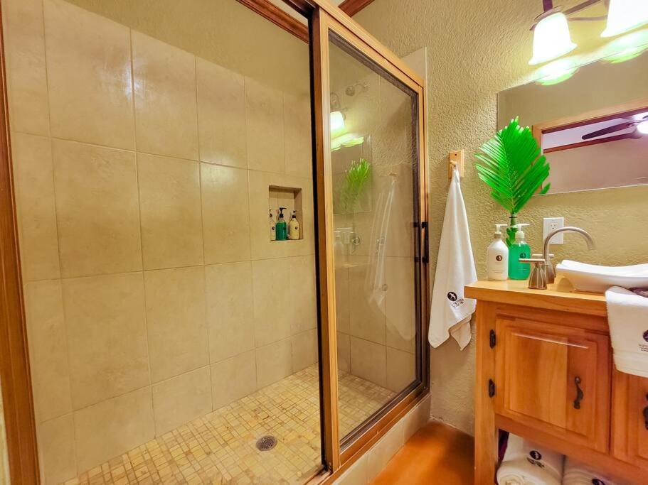 Vive Utila - Bed & Breakfast المظهر الخارجي الصورة