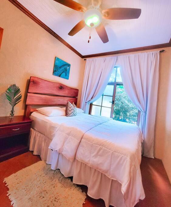 Vive Utila - Bed & Breakfast المظهر الخارجي الصورة