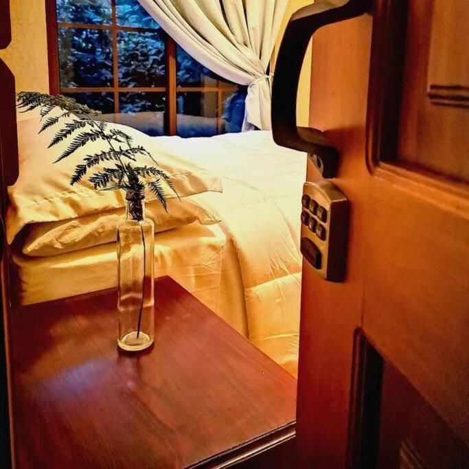 Vive Utila - Bed & Breakfast المظهر الخارجي الصورة
