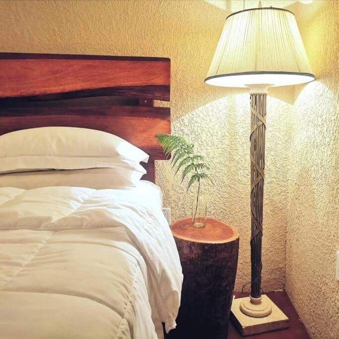 Vive Utila - Bed & Breakfast المظهر الخارجي الصورة