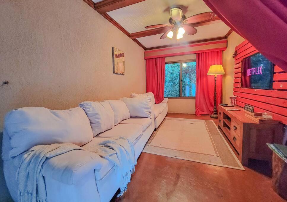 Vive Utila - Bed & Breakfast المظهر الخارجي الصورة