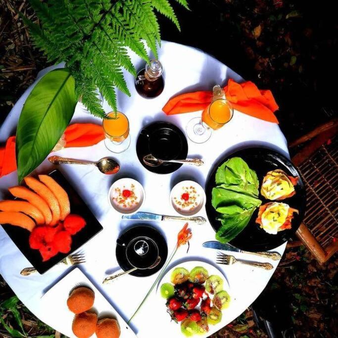 Vive Utila - Bed & Breakfast المظهر الخارجي الصورة